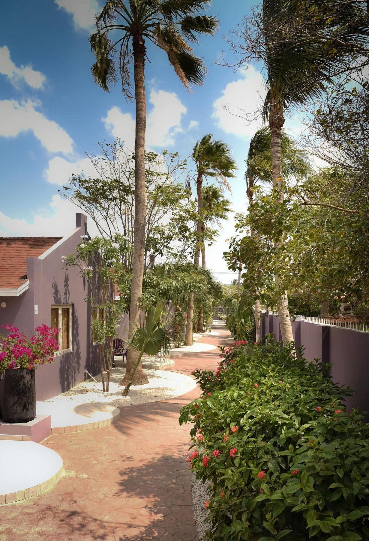 Cadushi Apartments Oranjestad Luaran gambar