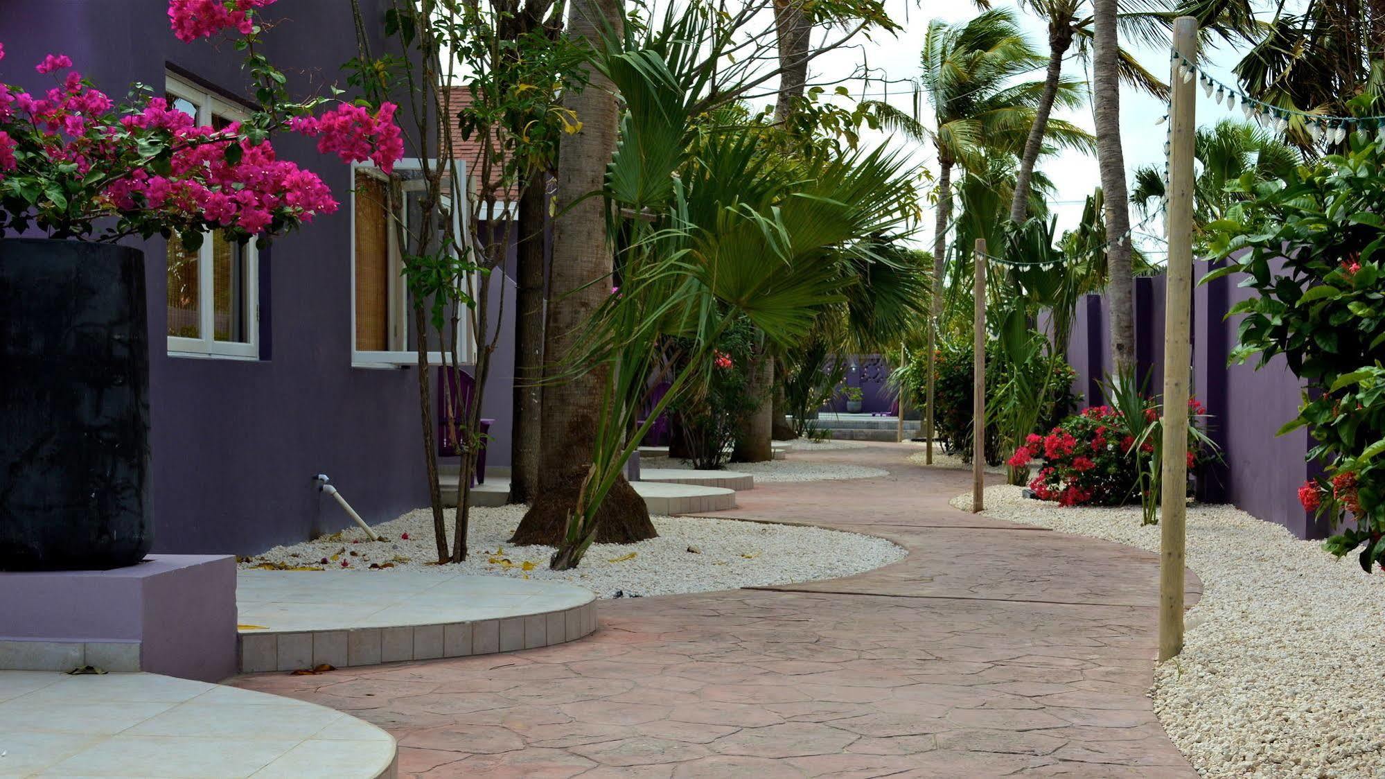 Cadushi Apartments Oranjestad Luaran gambar